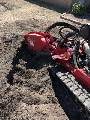 Cedar Creek Tree Removal