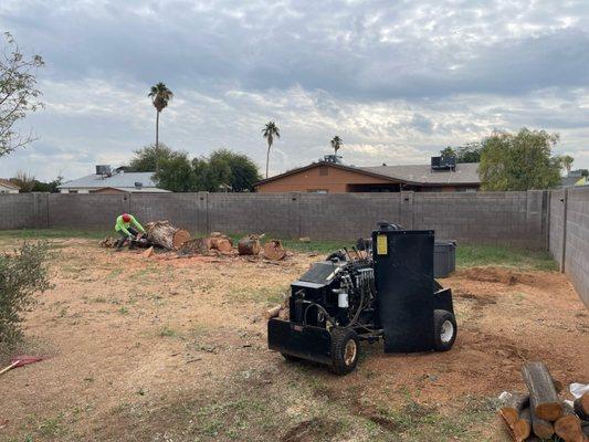 Monster stump grinder!! this machine makes short work of a stump!!