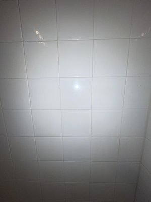 Clean shower walls