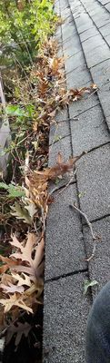 Gutters Stuffed?  Call 773.467.7400  as low as $1 per foot