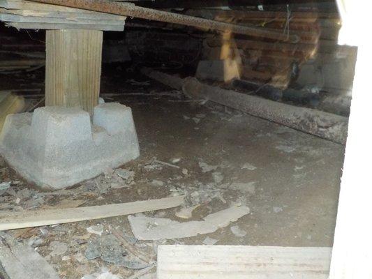 Crawlspace in Talladega