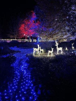 Buellton Enchanted Garden Lights Festival 2022