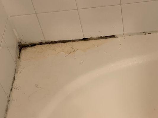 The mold we found in the main bathtub when we moved in.