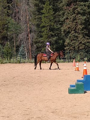 Green Meadow Stables