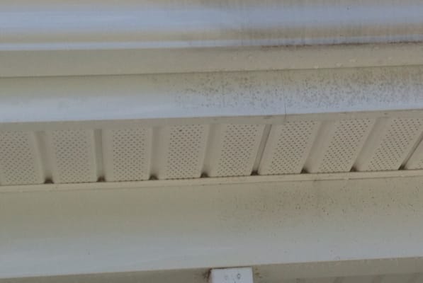 Gutter cleaning