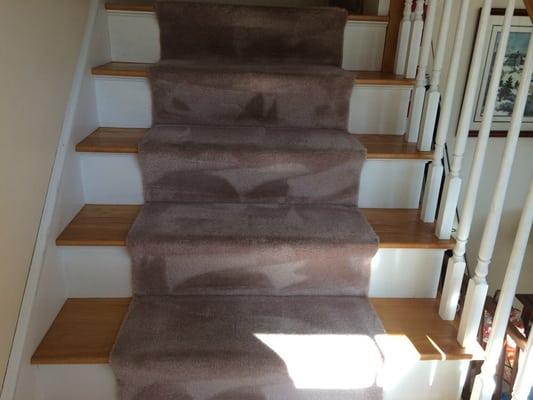 Carpet cleaning a staircase