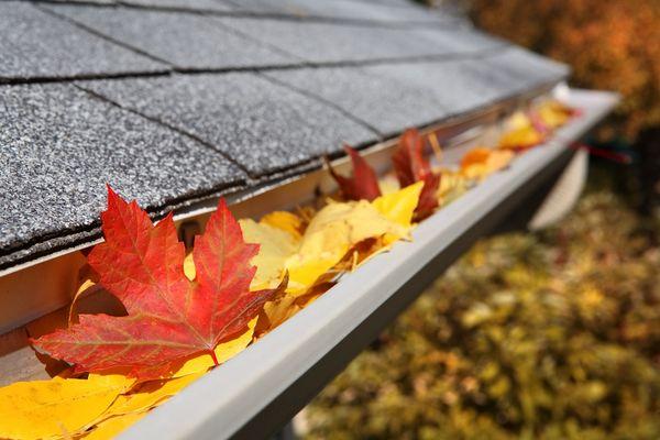 Doug Does Windows & Gutter Cleaning