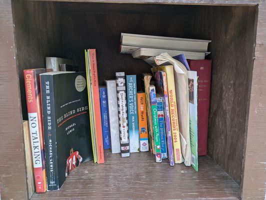 Little Free Library 21612, Danville