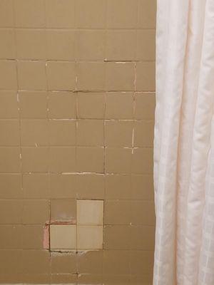 Shower tiles falling off