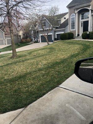 Lovely spring streaks in my front lawn. Embarrassed that I pay for this type of lawn care.