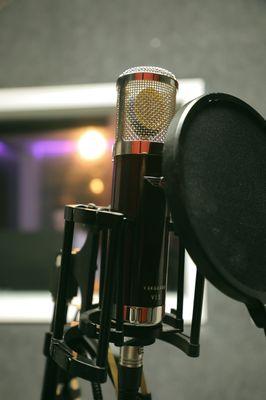 Vanguard tube microphone in our spacious vocal booth