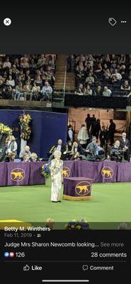 Sharon Newcomb, owner Top Dog,  judging the Toy Group Westminster Kennel Club 2019