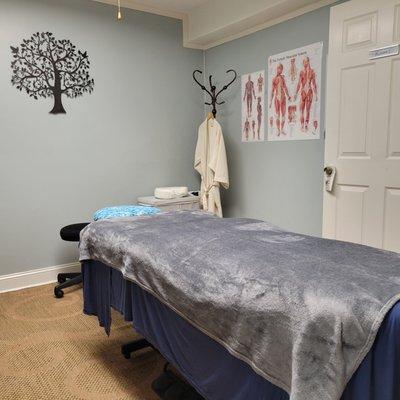 Treatment Room with Anatomical Posters