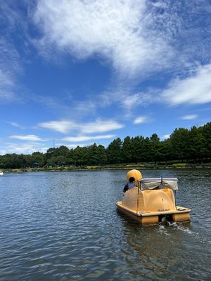 Our duck character boat out on the water