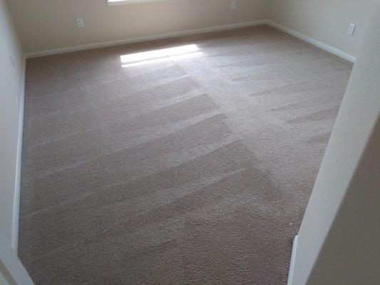 Carpet cleaning services