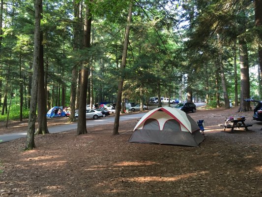 The sites are close together and packed on a summer weekend.