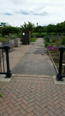 Community garden