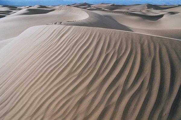 Mesquite Dunes at Death Valley National Park