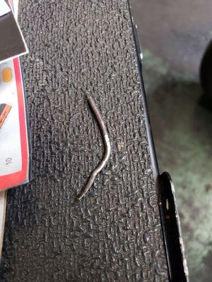 The nail found in my tire