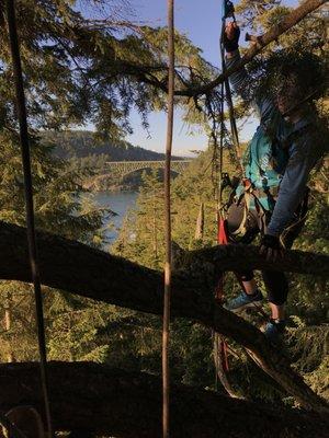 View of Deception Pass Bridge