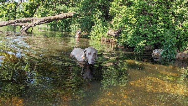 Cooling off on a summer day