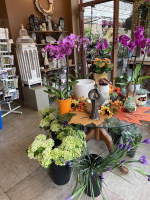 The Botanical Emporium Florist & Greenhouse