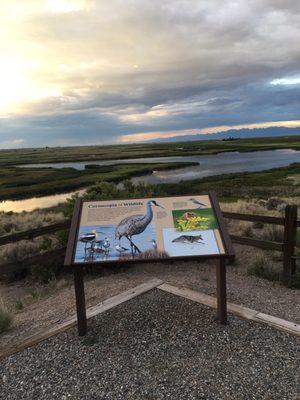 Alamosa National Wildlife Refuge