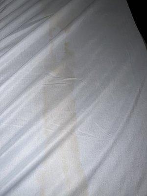 Pee stains on bed linen