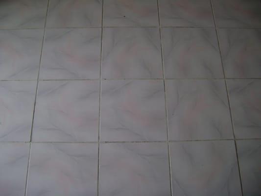 Tile & Grout Cleaning Before