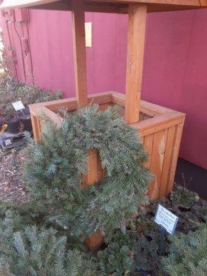 BEAUTIFUL FULL PINEY NM WREATHS.  TRUE CiRCLES OF FRIENDSHIP, LIFE & LOVE!