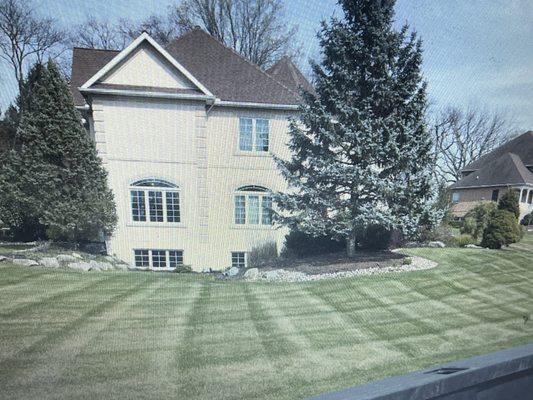 The view as I turn on my street , it's magazine quality from Shade Tree LLC