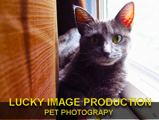 Lucky Image Production