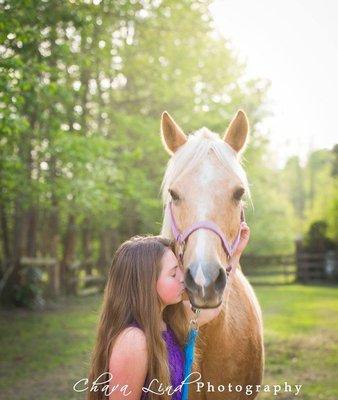 Chava Lind Photography equine portraits