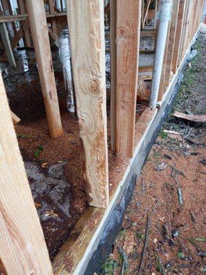 left inside framing, also showing shabby foundation.