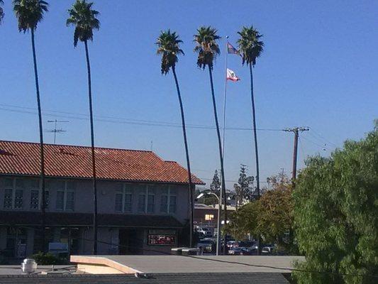 Their flag is upside down..... Disrespecting America.....2016 November..... Wow....