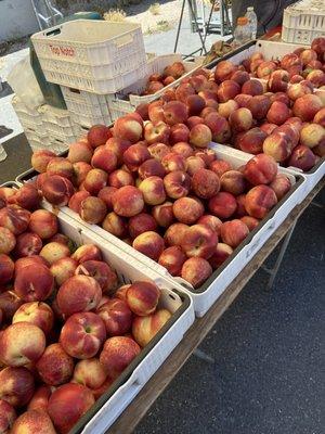 Nectarines at the Inner sunset Farmers Market