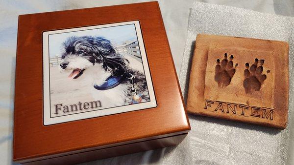 Fantem's Mahogany wooden box with a clay tile of his paws.