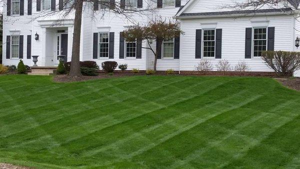 Lawn Maintenance