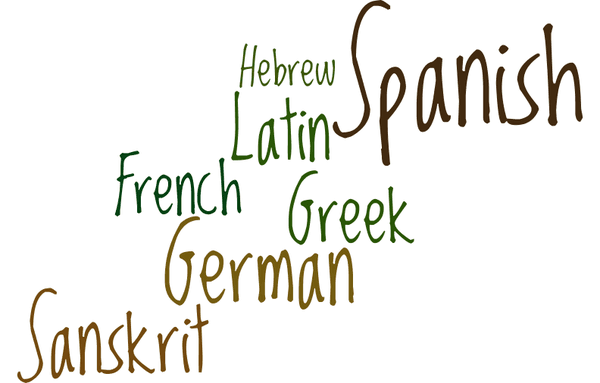 Learn French, German, Spanish, Latin, Classical Greek, Sanskrit, NT Greek and Biblical Hebrew online in real time. A college year of languag