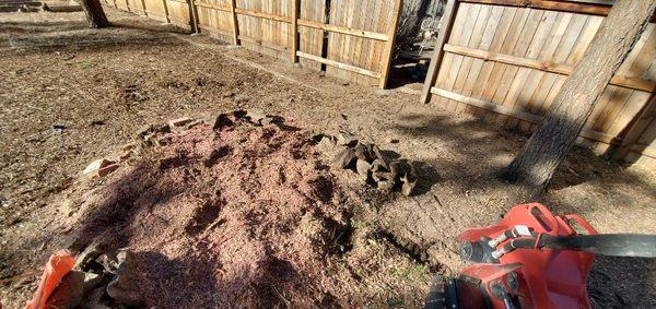 Just a little stump grinding. We alywas take the time to ensure no utilities are in danger.