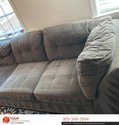 Sofa upholstery cleaning