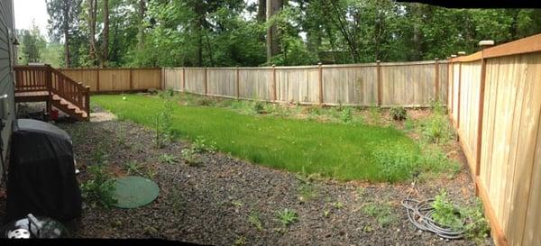 Before on a backyard cleanup/landscape project we did in an afternoon.