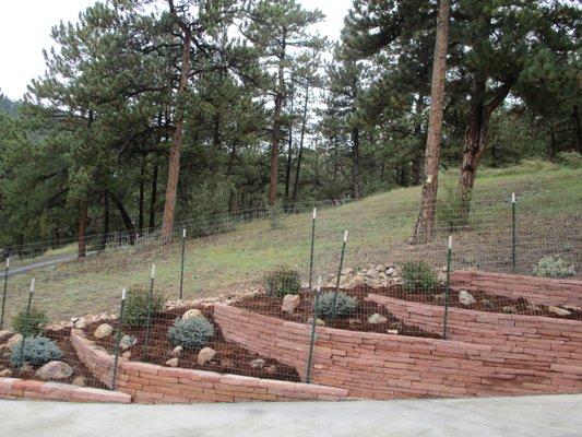 Red Flagstone 8' Cut Drystack Retainers Mountain Landscaping