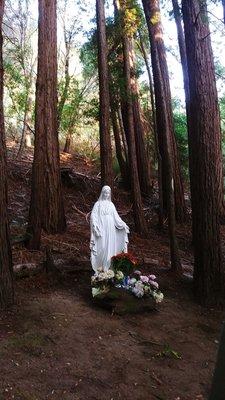 Statue of Mary at the Madonna Grove