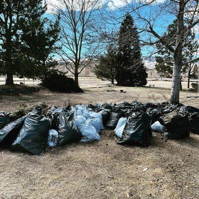 Pile of yard debris before we worked our magic.