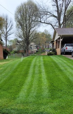 Environmental Lawn Care