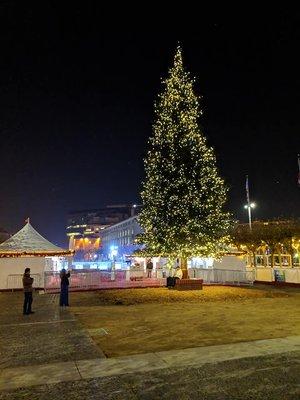 Christmas Tree in front of the Ice Rink entrance