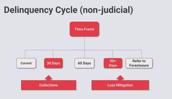 Delinquency Cycle