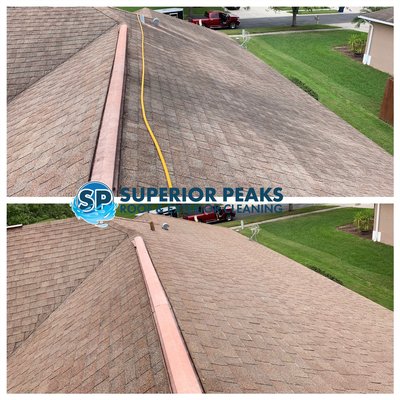 Shingle roof cleaning Before and After