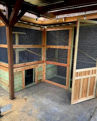 Custom "catio", dog house on the "first floor", plenty of platforms for the cats, AND a "cat-cam"!